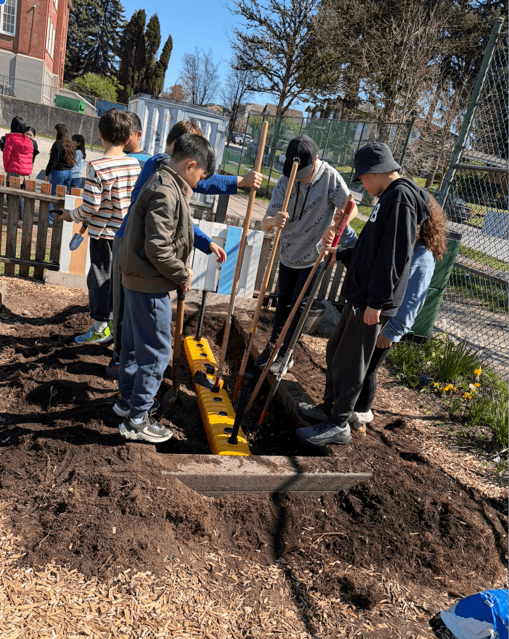 School Garden enhancement