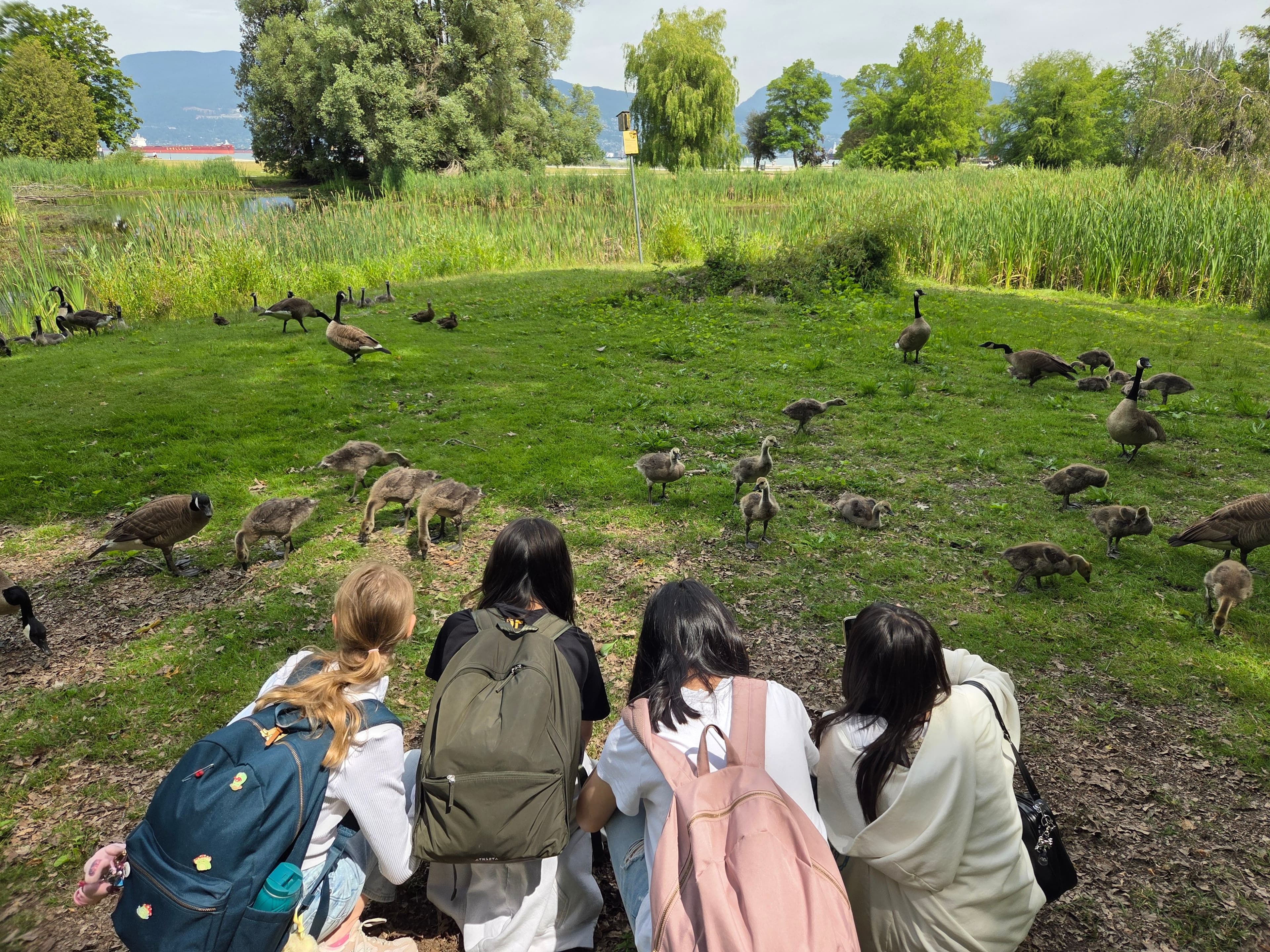 Field Trip to East Jericho Park